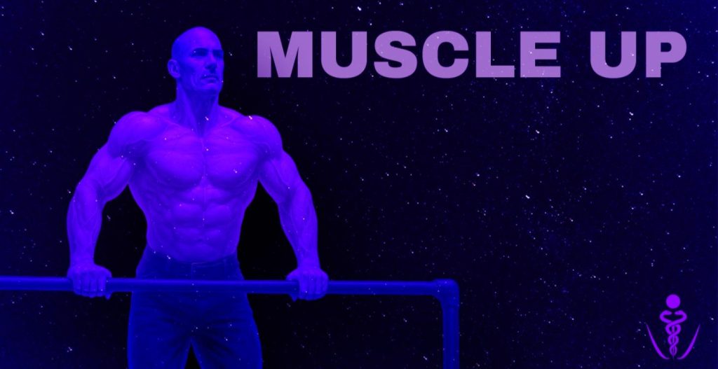 Muscle Up Blueprint