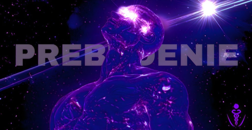 PREBUDENIE
